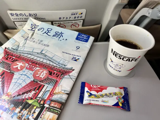 【BC】名古屋→那覇 普通席✈️