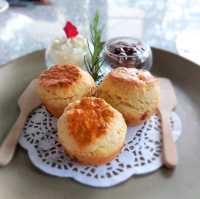 ร้านบรรยากาศร่มรื่นริมปิง ที่มี scone อร่อยมากๆ