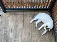 หนีเมืองวุ่นวาย ไปนอนบนเขาที่กระบี่🌥️