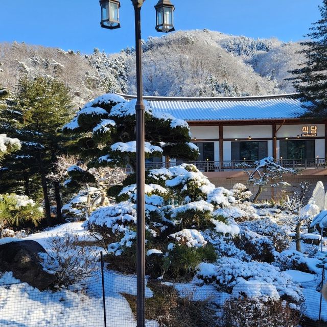 사계절이 예쁜 아침고요수목원🏞️