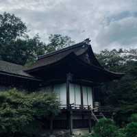 常寂光寺!!尋找內心寧靜的放鬆🌸🏯 