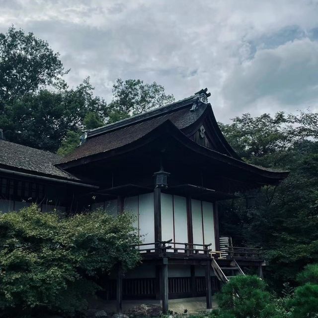常寂光寺!!尋找內心寧靜的放鬆🌸🏯 