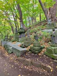 北海道　北海道観光　札幌の旅　札幌中心地で登山　円山八十八カ所の紅葉が見頃！
