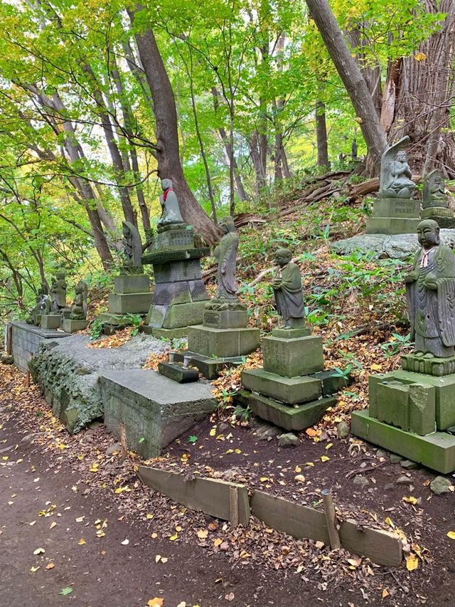 北海道　北海道観光　札幌の旅　札幌中心地で登山　円山八十八カ所の紅葉が見頃！