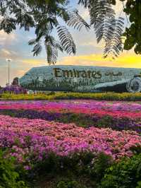 A Flowering Oasis in the Desert