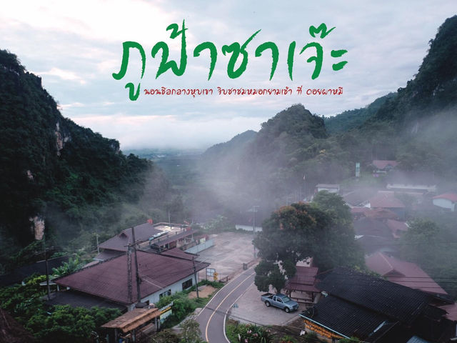 ภูฟ้าซาเจ๊ะ ดอยผาหมี จ.เชียงราย ⛰️