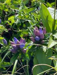 【山形県/御田原神社】2023年行ってよかった！山形県の神社⑦