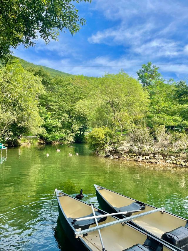 ์ฌ๊ธฐ ๊ฒฝ์ฃผ ๋ง์...?? ๐๐  ์ฌ๊ธฐ ๊ฒฝ์ฃผ ๋ง์...?? ๐๐