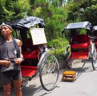 嵐山小火車🚄直達嵯峨🫣旅客🧳必到特色遊覽景點