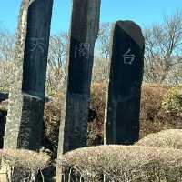 富士箱根伊豆國立公園😝最佳欣賞富士山🗻之地