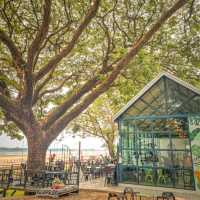 The TREE Cafe&Restaurant 🌳🌴 คาเฟ่ต้นไม้ใหญ่ ริมแม่น้ำโขง