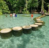 ป่าต้นน้ำบ้านน้ำราด 🌿