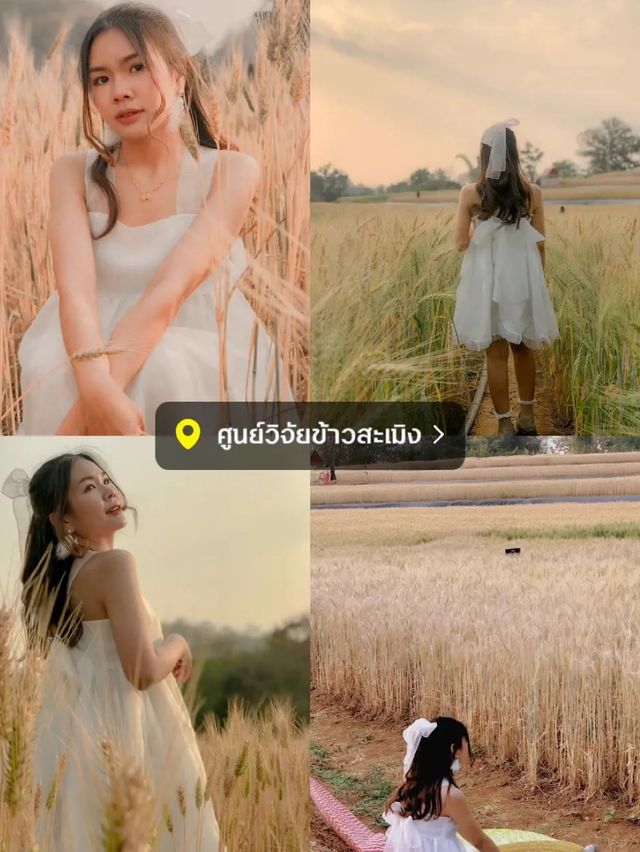 ✨ แจกพิกัด 9 โลเด็ด ถ่ายรูปปังในเชียงใหม่ 📸