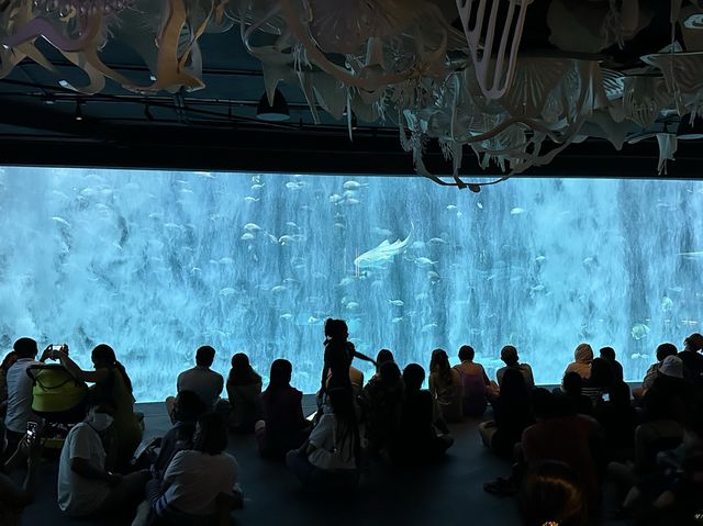 Aquarium​ Phuket ที่ใหญ่ที่สุดในประเทศไทย​