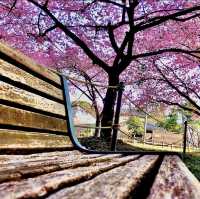 萬葉公園
