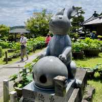  【京都】花の御寺「三室戸寺」