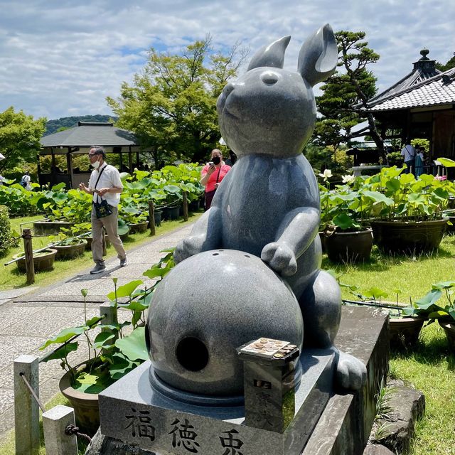  【京都】花の御寺「三室戸寺」