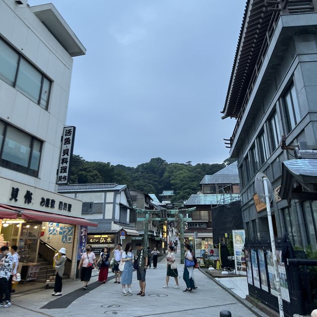 《東京近郊鎌倉一日遊》