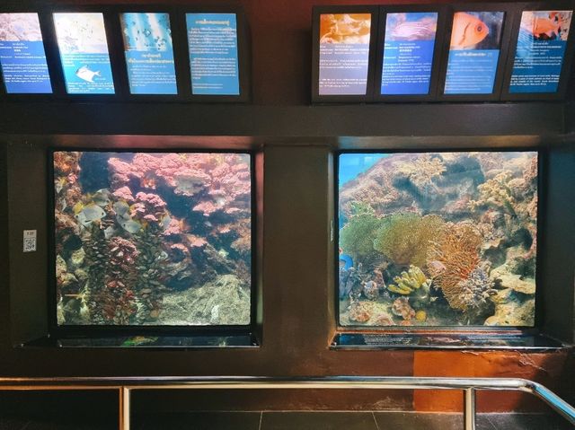 🐟 พาชมอุโมงค์ใต้น้ำที่ 𝙋𝙝𝙪𝙠𝙚𝙩 𝘼𝙦𝙪𝙖𝙧𝙞𝙪𝙢