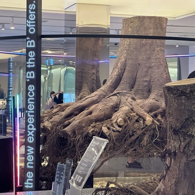 자연에서 즐기는 아름다움에 대한 사색 🌳 B the B 서울뷰티패션라운지