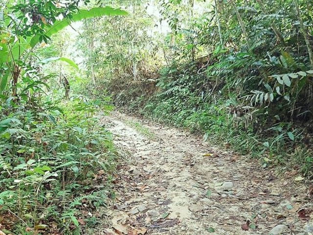 Hiking Trail @ Raka Hill Bentong