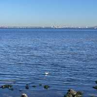 พาเดินเล่นริมหาด Point Ormond ที่st.kilda