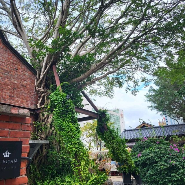 台北 小眾景點 榕錦時光 日式風格體驗 一日行程推薦