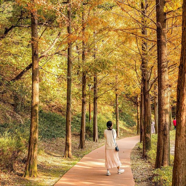 부산 가을 단풍명소 기장 용소웰빙공원
