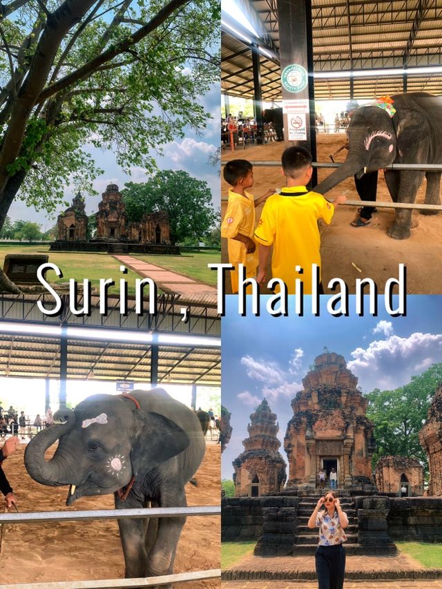 ย้อนเวลาไปเที่ยวสุรินทร์ 🐘🐘