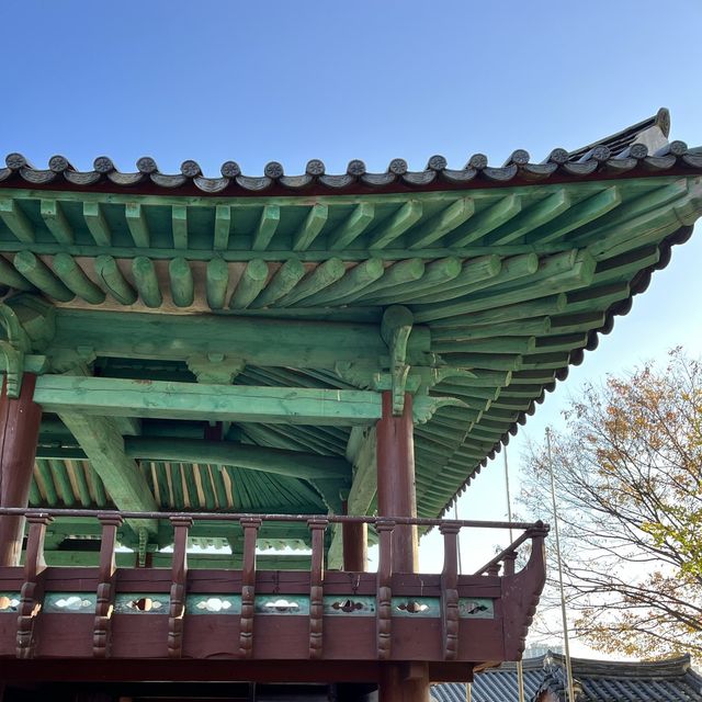 전주향교 은행나무 실시간