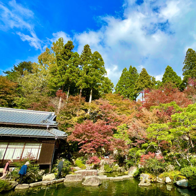 Hyakusaiji: Autumn Tranquility Unveiled