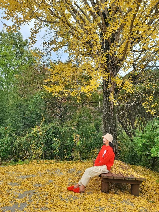 귀여운 전동차도 탈수 있는 경상남도 수목원🍂