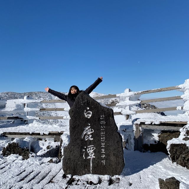 한라산 설경 놓치지 말아요, 이곳이 겨울왕국입니다🗻