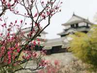 🏯四國愛媛松山城：江戶歷史、花海襯古城🏯