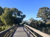 Lake Douglas, Swan Canning Riverpark😎📸🤩