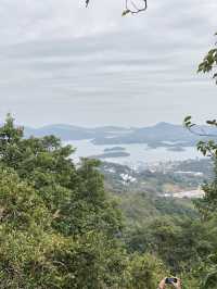 香港新手行山🍀茅坪藤皇+竹林隧道路線