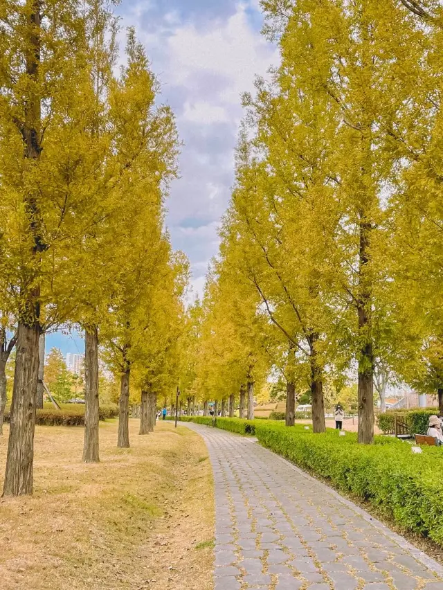 사계절 내내 예쁜 부산 시민공원🌿