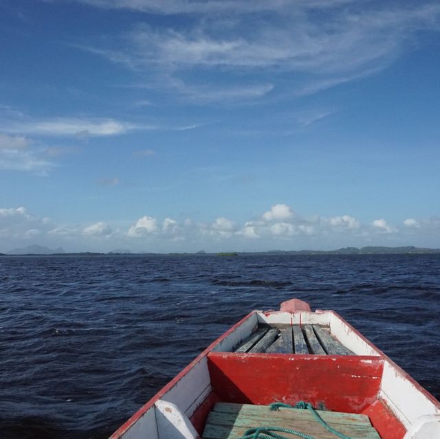 ล่องเรือ ชมธรรมชาติ ทะเลน้อย พัทลุง