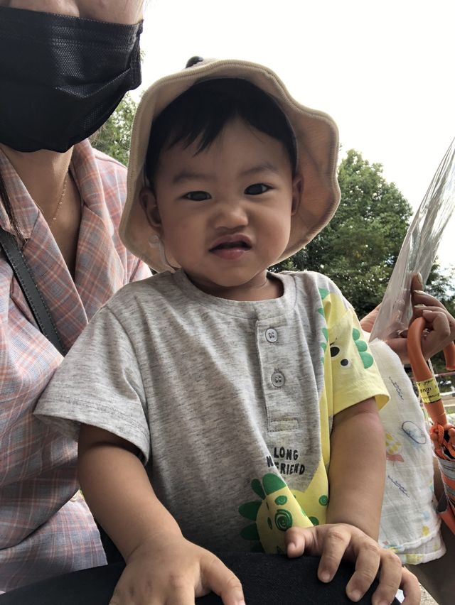 พิพิธภัณฑ์ไดโนเสาร์ @ภูเวียง ขอนแก่น🦕