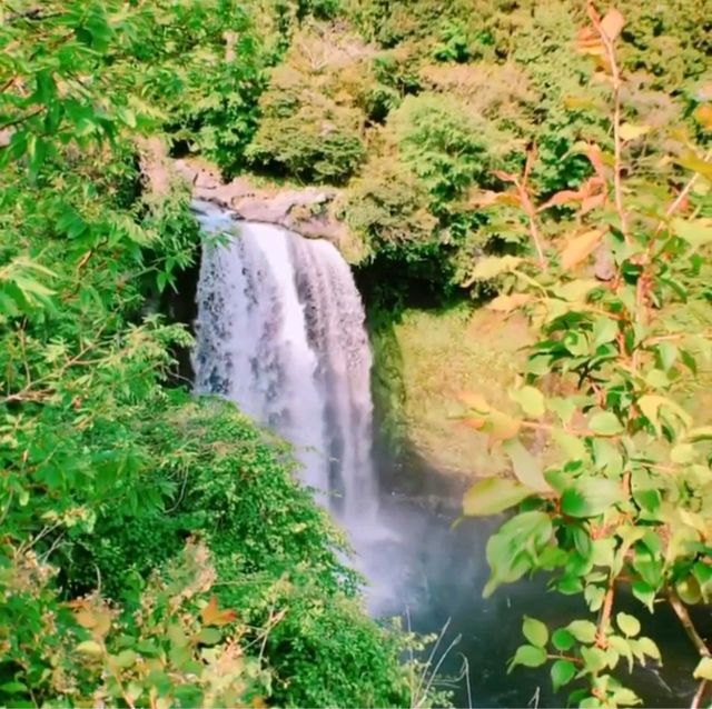【静岡県/富士宮市】白糸の滝/音止の滝