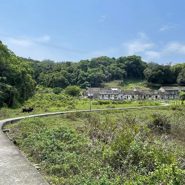 遊山玩水系列‼️‼️‼️粉嶺鹿頸遠望對岸👍🏻容易郊遊路線