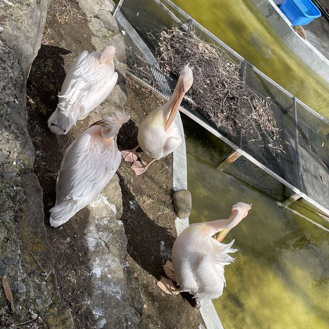 【長野県/長野市城山動物園と遊園施設】