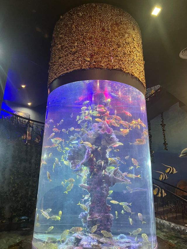 เที่ยวอควาเรียมสุดว้าวบนเกาะวินเพิร์ล 🐠✨
