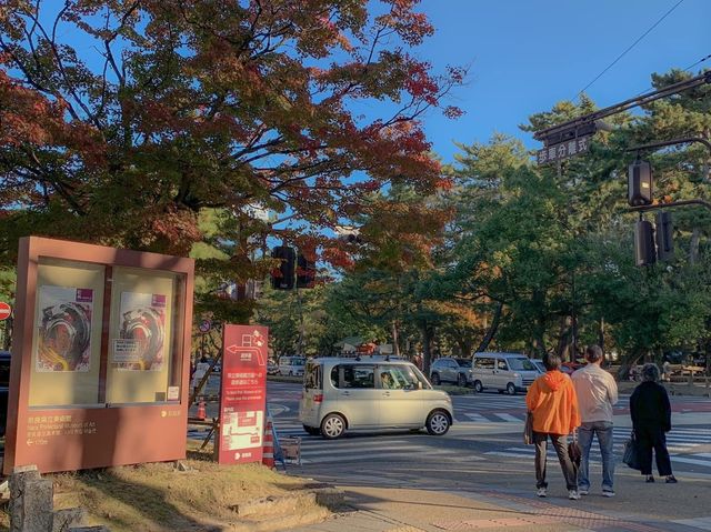 สวนกวางนารา Nara Park 🦌