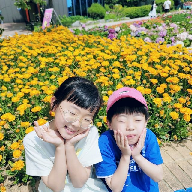태안 코리아플라워파크에서 수국에 빠져보기💕