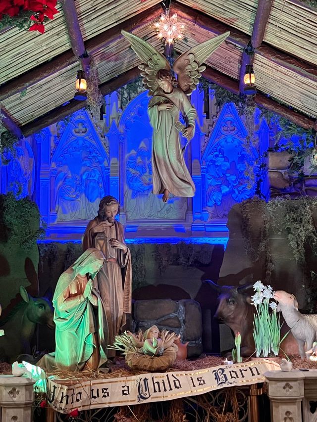 Divine Design:St Patrick’s & St Mary’s Shrine