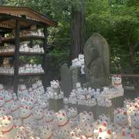 ［東京景點］招財貓神社｜好多對眼望住你