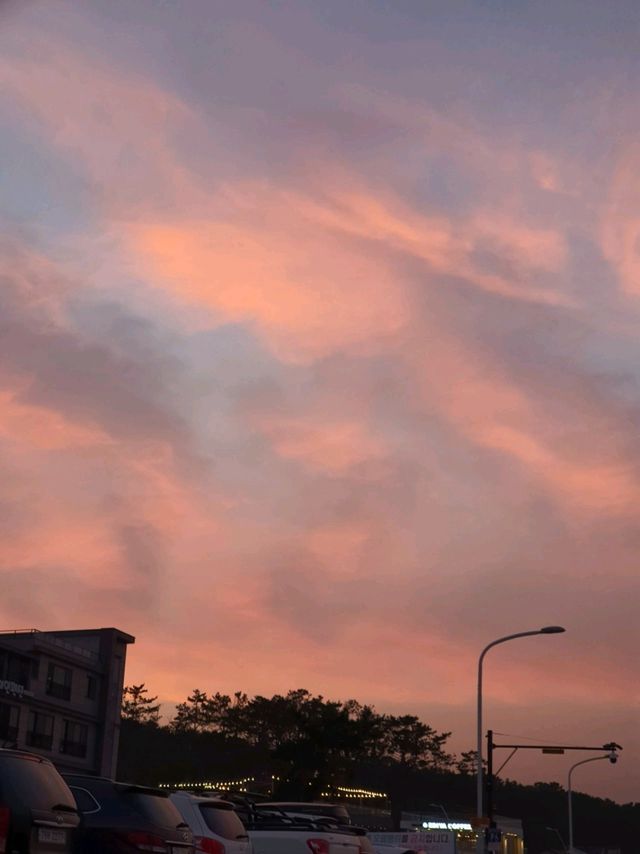 노지캠핑하기 좋은 울산 주전해수욕장🏖