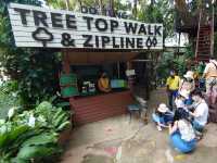 • Doi Tung Tree Top Walk 🎪✨