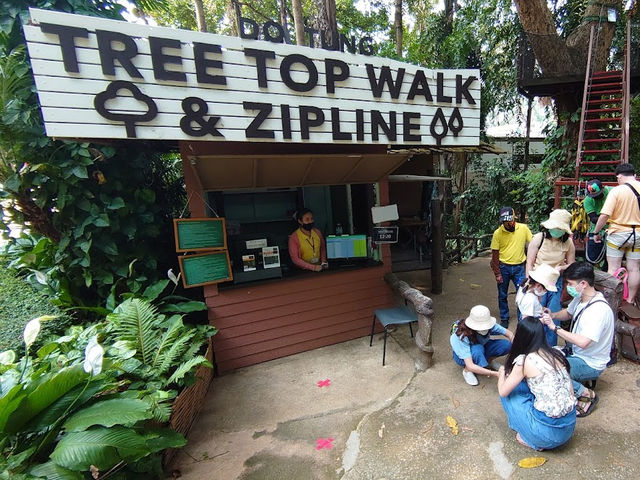 • Doi Tung Tree Top Walk 🎪✨